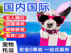大兴机场快递国际宠物托运 【国